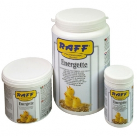 Energette (Feed for Nestlings)
