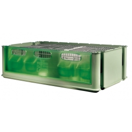 Maxi Tino Carrier