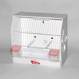 Plastic Competition-Exhibition Cage