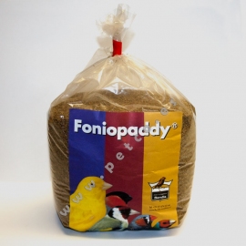 FonioPaddy