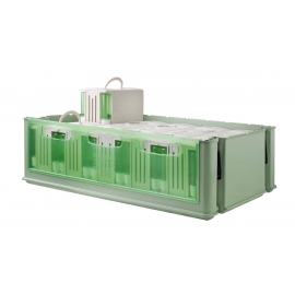 Maxi Tino Carrier + Lid
